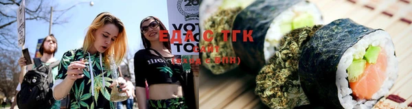 тгк Алзамай