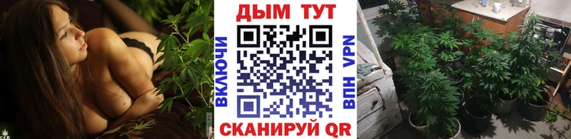 блэк спрут зеркало  Воткинск  Конопля сатива 